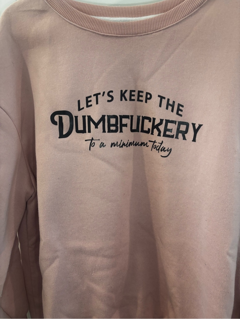 SHEIN Pink Graphic Crewneck Sweater with Black Slogan